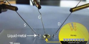 Honey-to-help-make-graphene-transistors-image-img_assist-400x257